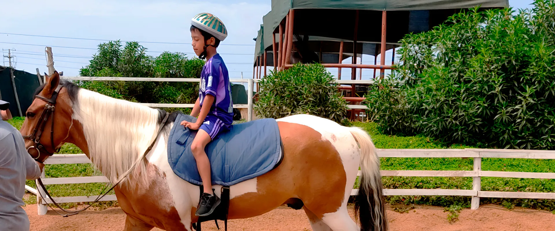 Niño sobre caballo haciendo equinoterapia